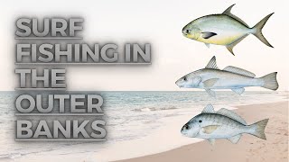 Surf Fishing in the Outer Banks [upl. by Helli]