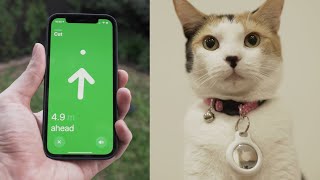 I put AirTags on my cat [upl. by Yauq]