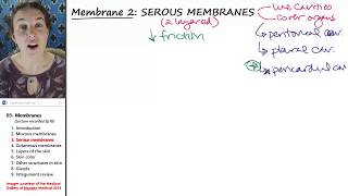 Membranes 3 Serous membranes [upl. by Lilyan]