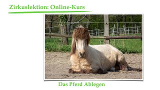 Zirkuslektionen Onlinekurs Pferd ablegen in 8 Schritten [upl. by Krasner]