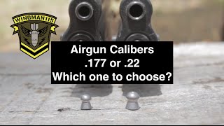 Airgun Calibers 177 or 22 Which one to choose [upl. by Callean]