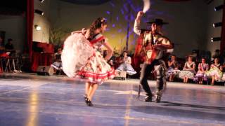 3° Cueca Campeones de arica 2014 [upl. by Avlem]