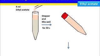 Fecal Sedimentation Concentration FormalinEthyl Acetate Method [upl. by Carmina]