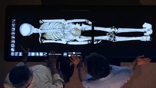 Revealed How King Tut Died [upl. by Asilej755]