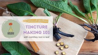 Tincture Making 101 Learn to Make a Fresh Plant Tincture of Comfrey Root Using Ratios [upl. by Galina175]