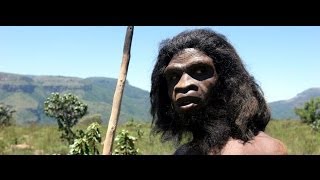 Ape To Man  Theory of Evolution Documentary [upl. by Hgielrahc]