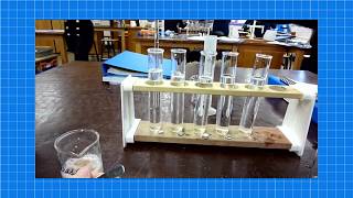 A level Biology ENZYMES REQUIRED PRACTICAL [upl. by Gilbertina]