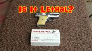 Is 25 Auto Lethal [upl. by Erida]