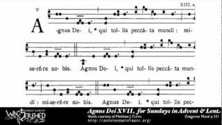 Agnus Dei XVII from Mass XVII Gregorian Chant [upl. by Samal]