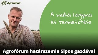 A makói hagyma és termesztése  Agrofórum határszemle Sipos Gazdával [upl. by Rourke]