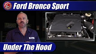 20212022 Ford Bronco Sport 15T Engine Explained [upl. by Yentruoc]