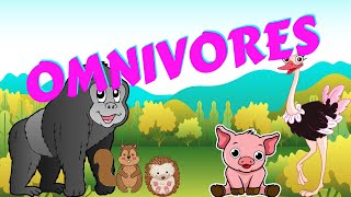 Omnivores  Types of Animal  Science for Kids [upl. by Dierolf230]