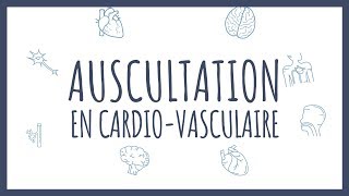 Le système cardiovasculaire [upl. by Airlia860]