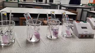 AQA required practical biology Temperature effect on decay [upl. by Aldis522]