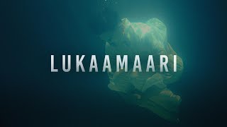 Sajjan Raj Vaidya  Lukaamaari Official Music Video [upl. by Namref907]