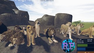 Testing A Hunting as a Lion Pride in Roblox  with RP Real Play  Wild Savannah [upl. by Lossa]