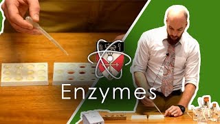 Enzymes  GCSE Science Required Practical [upl. by Downe]