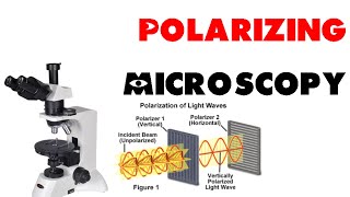 Polarizing microscopy [upl. by Lapides420]