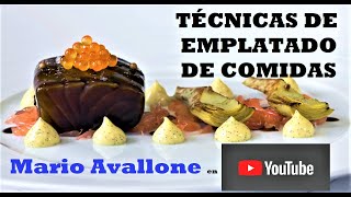 Tècnicas de Emplatado de Comidas [upl. by Erolyat]