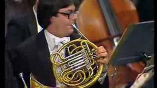 Tchaikovskys 5th Symphony Horn Solo [upl. by Matti716]