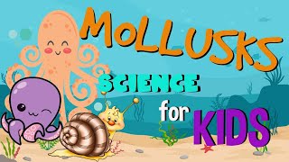 What is a Mollusk Invertebrates animals  Science for Kids [upl. by Ahsienyt]