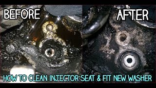 Injector SealWasher Replacement  How To Remove amp Install  DIY [upl. by Malissia241]