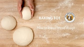 How to knead bread dough [upl. by Rephotsirhc488]