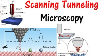 Scanning tunneling microscopy [upl. by Devaj265]