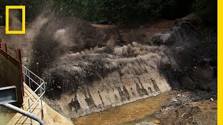 Marmot Dam  National Geographic [upl. by Mullen]