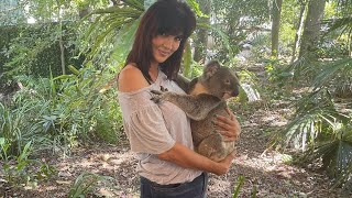 Lone Pine Koala Sanctuary [upl. by Elita317]