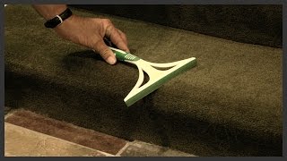 How to remove dog hair from carpet [upl. by Amer]