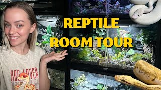 Reptile Room Tour August 2023 [upl. by Roshelle]