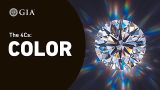 4Cs of Diamond Quality Diamond Color Grading by GIA [upl. by Kus434]