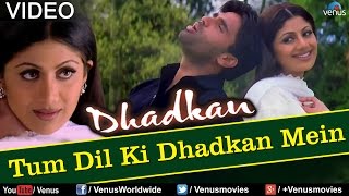 Tum Dil Ki Dhadkan Mein  Duet Dhadkan [upl. by Bartley]