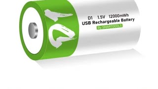 lithium rechargeable D batteries 1 year review [upl. by Nylicaj302]