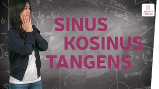 Die Winkelfunktionen Sinus Kosinus und Tangens I musstewissen Mathe [upl. by Nerral154]