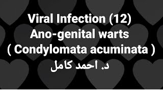 12 Anogenital warts  Condylomata acuminata  👉Viral Infection by Dr Ahmed Kamel [upl. by Diantha]