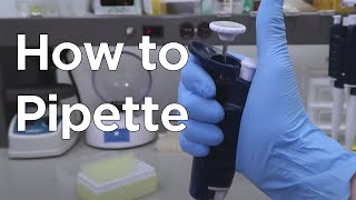 How to Micropipette  miniPCR bio™ [upl. by Oremoh]