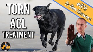 The Best Torn Dog ACL Treatment  Surgery or Home Management  Dog Care Vet Advice [upl. by Neile]