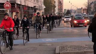 Cycling in Copenhagen [upl. by Hammock]