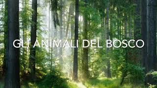 Gli animali del bosco [upl. by Baldwin]