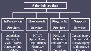 Hospital Organizational Structure [upl. by Luy]