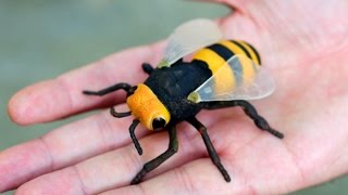 GIGANTIC WASP [upl. by Kalli]