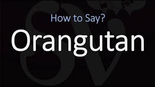 How to Pronounce Orangutan CORRECTLY [upl. by Boris599]