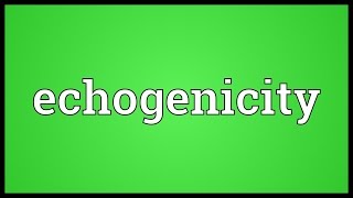 Echogenicity Meaning [upl. by Akiehsat586]