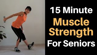 15 Minute Senior Strength Workout [upl. by Ydnor529]