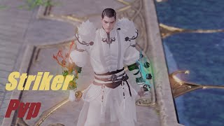 Lost Ark Striker PvP [upl. by Su]