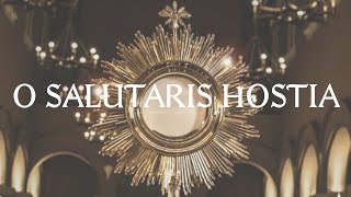 O Salutaris Hostia  Catholic Latin Hymn [upl. by Nameloc860]