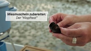 Der Klopftest Wie erkenne ich eine frische Miesmuschel [upl. by Ramedlaw]