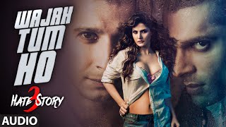 Surili Song Promo  Veer  Zarine Khan amp Salman Khan [upl. by Linzy]